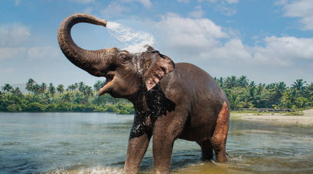 Kerala