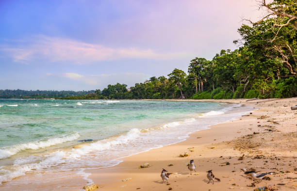 Honeymoon Destination Guidebook