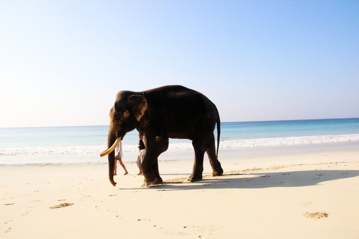 Radhanagar Beach