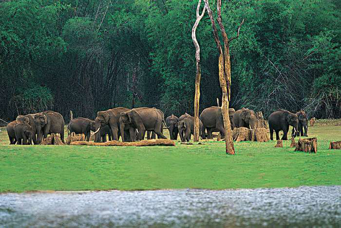 Kerala Guide - Resort Thekkady, Kerala