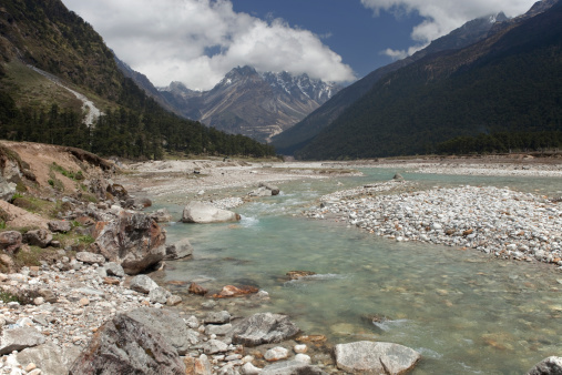 Yumthang Valley